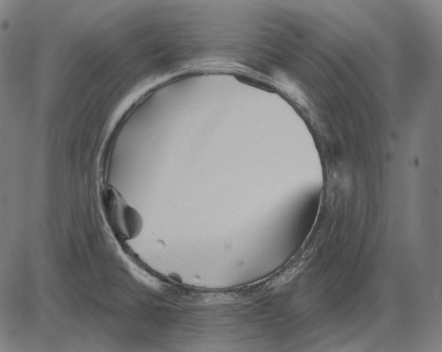 X0000081461430200702021756