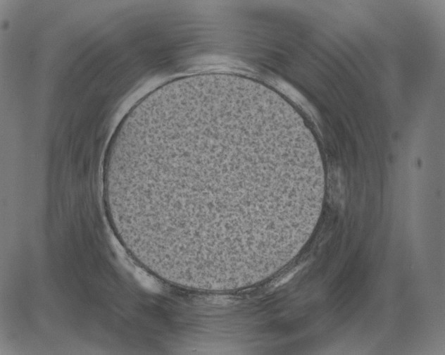 X0000081461431200702021756