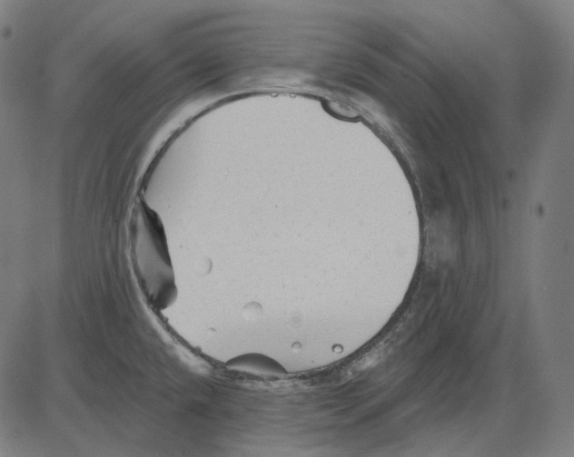 X0000081461432200702021756