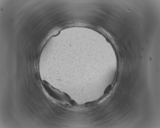 X0000081461433200702021756