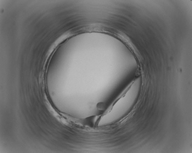 X0000081461434200702021756