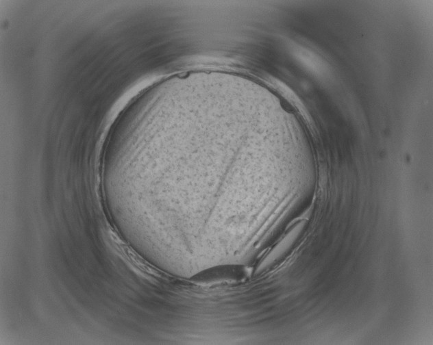 X0000081461435200702021756