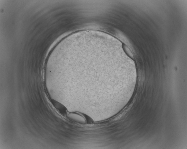 X0000081461436200702021756