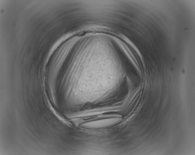 X0000081461437200702021756