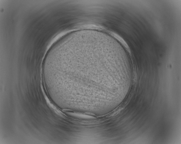 X0000081461439200702021756