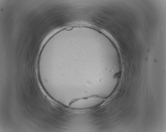 X0000081461440200702021756