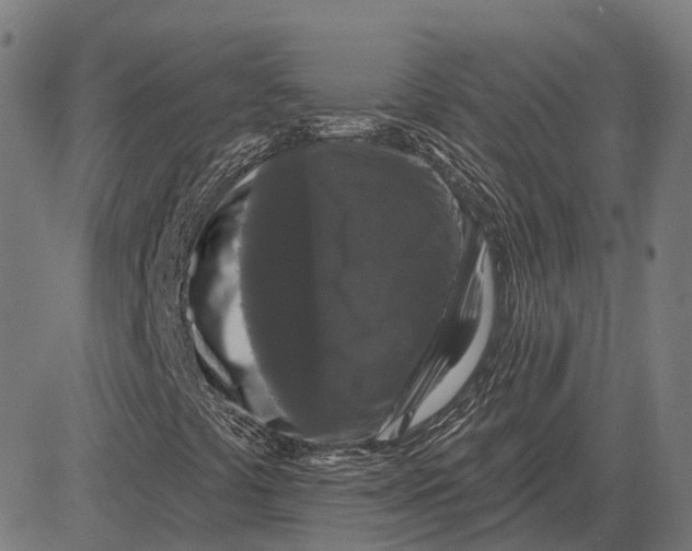 X0000081461441200702021755