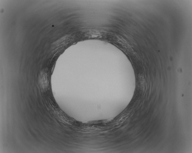 X0000081461442200702021755