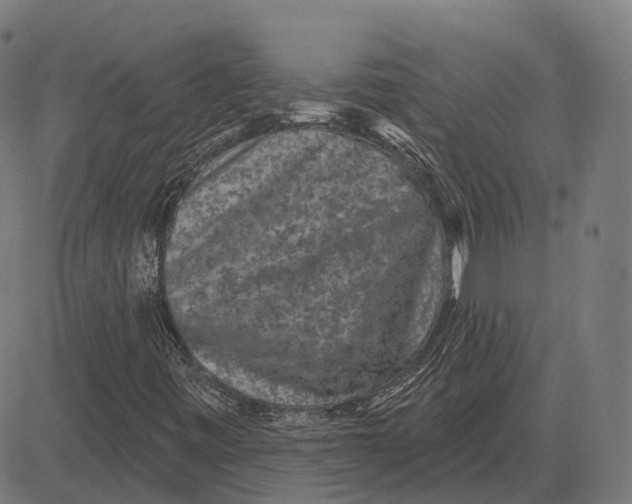 X0000081461443200702021755