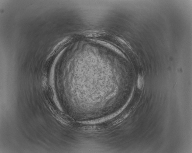 X0000081461444200702021755