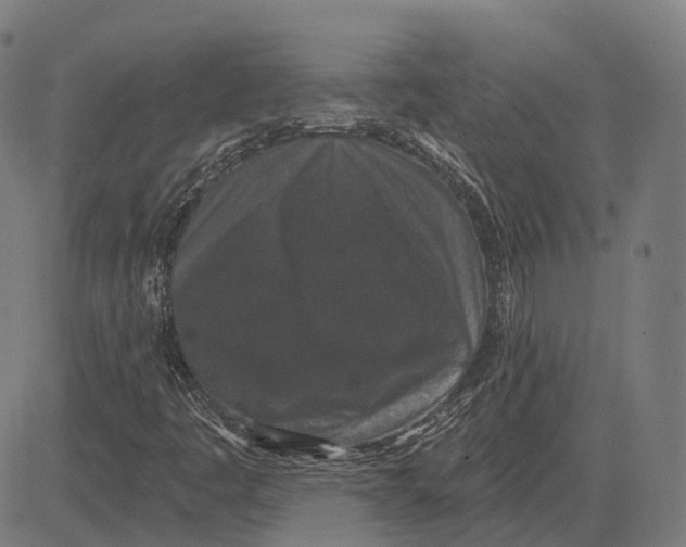 X0000081461445200702021755