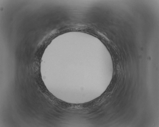 X0000081461447200702021755