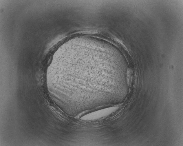 X0000081461448200702021755