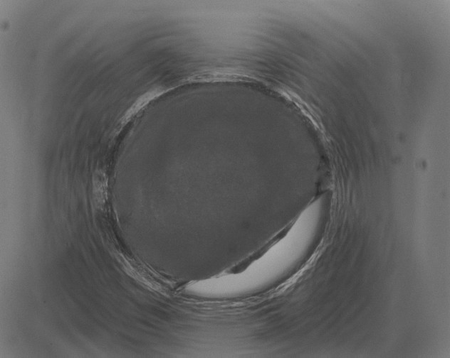 X0000081461449200702021755