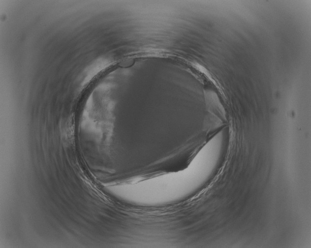 X0000081461450200702021755