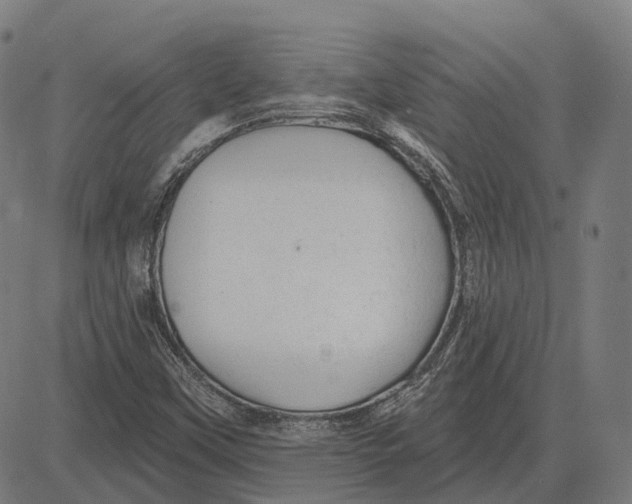 X0000081461451200702021755