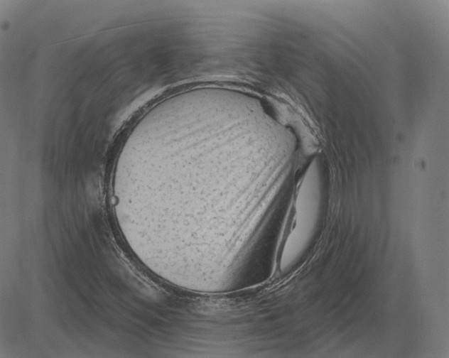 X0000081461452200702021755