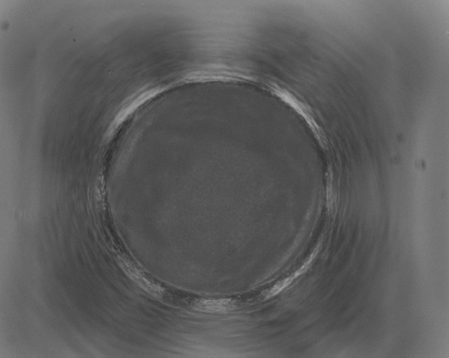 X0000081461453200702021755