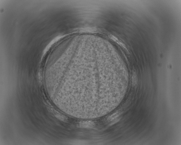 X0000081461454200702021755