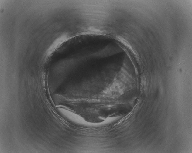 X0000081461455200702021755