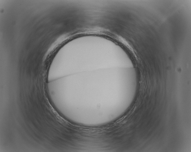 X0000081461456200702021755