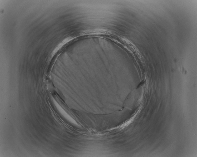 X0000081461457200702021755