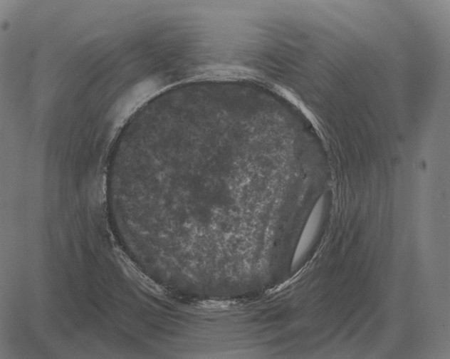 X0000081461459200702021755