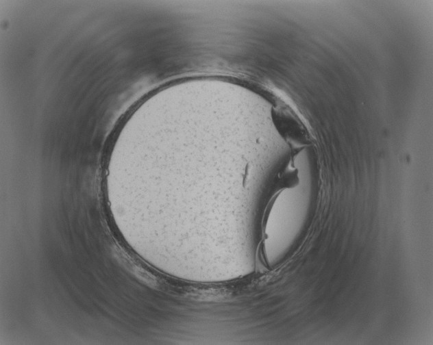 X0000081461460200702021755