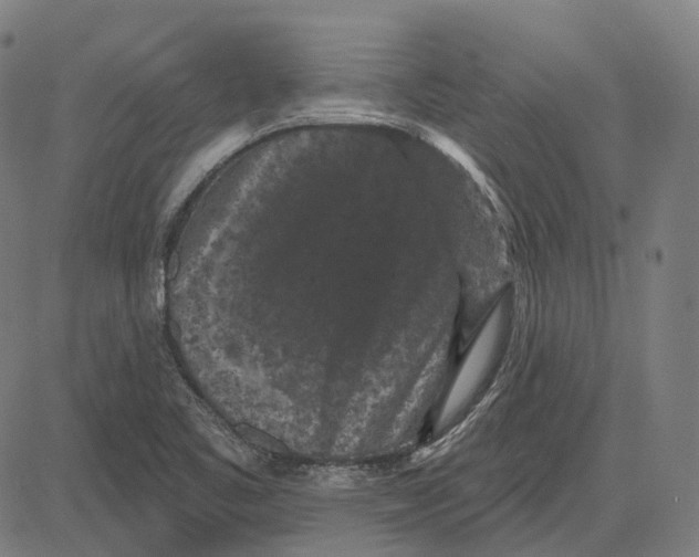 X0000081461461200702021755