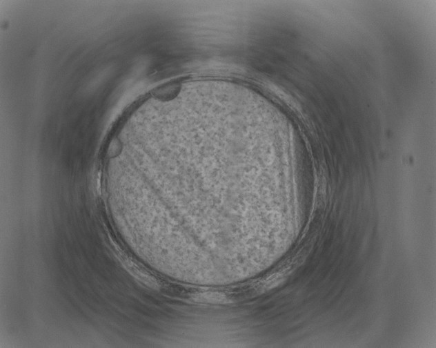 X0000081461462200702021755