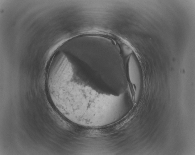 X0000081461463200702021755