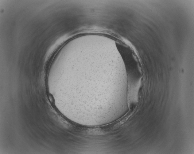 X0000081461464200702021755