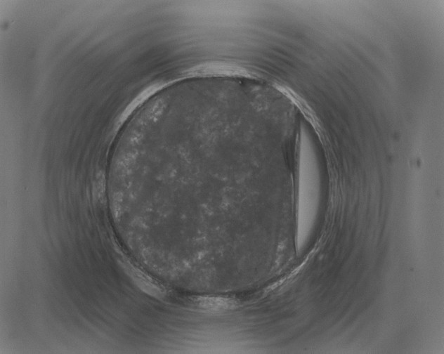 X0000081461465200702021755