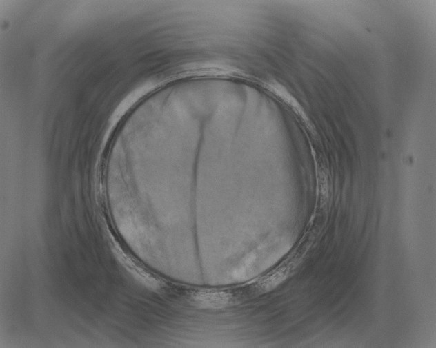 X0000081461466200702021755