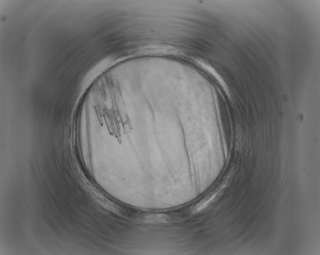 X0000081461467200702021755