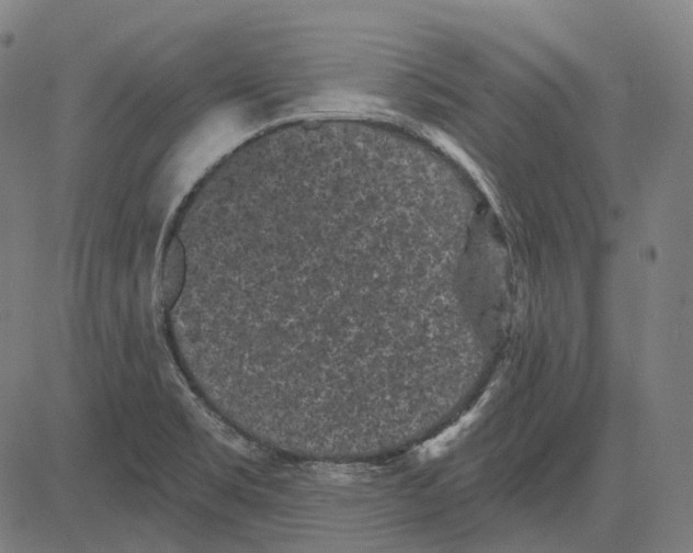 X0000081461469200702021755