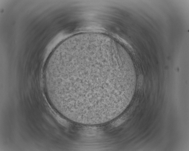 X0000081461470200702021755