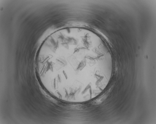 X0000081461471200702021755