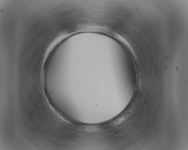 X0000081461472200702021755