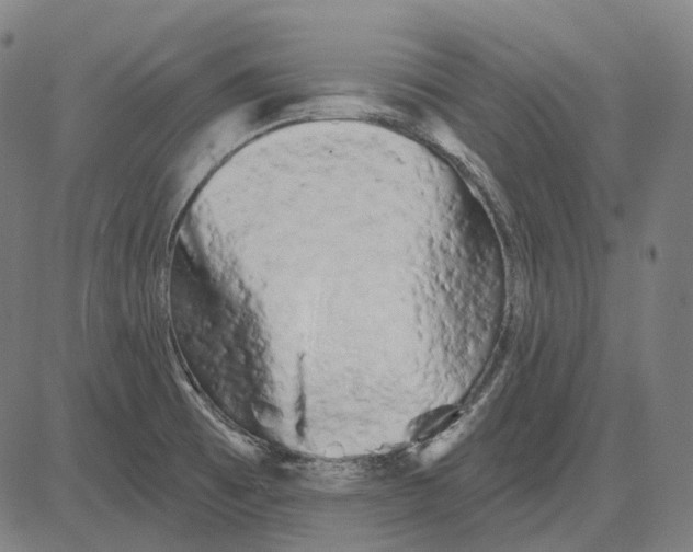 X0000081461473200702021755