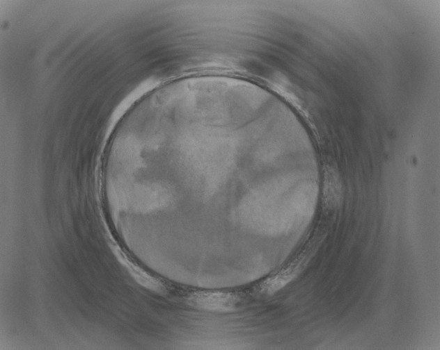 X0000081461474200702021755