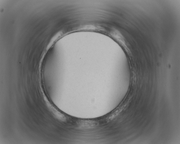 X0000081461475200702021755