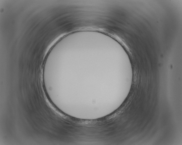 X0000081461476200702021755