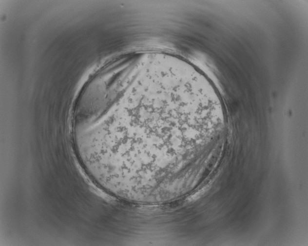 X0000081461477200702021755