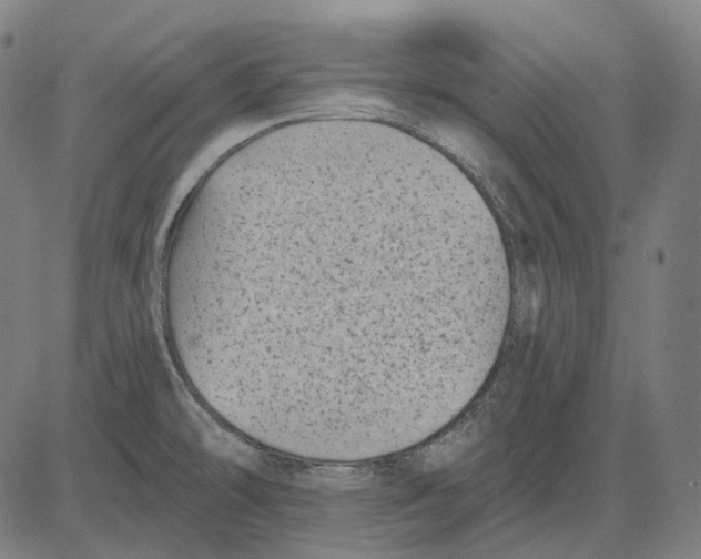 X0000081461478200702021755