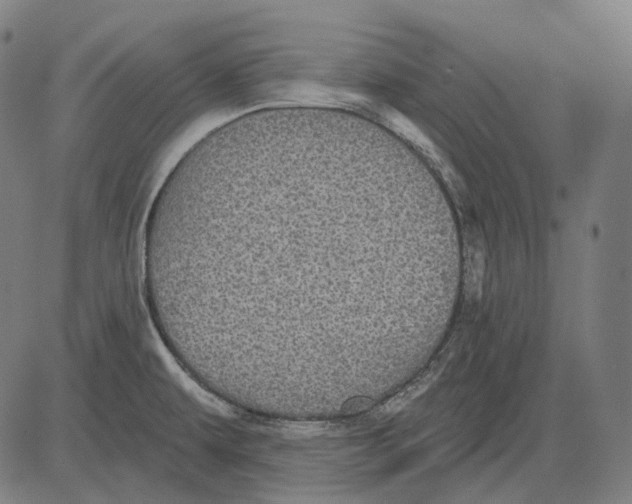 X0000081461479200702021755