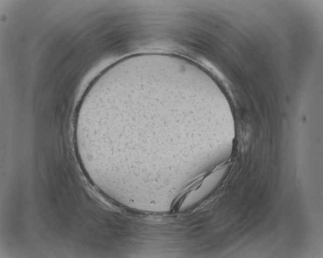 X0000081461480200702021755