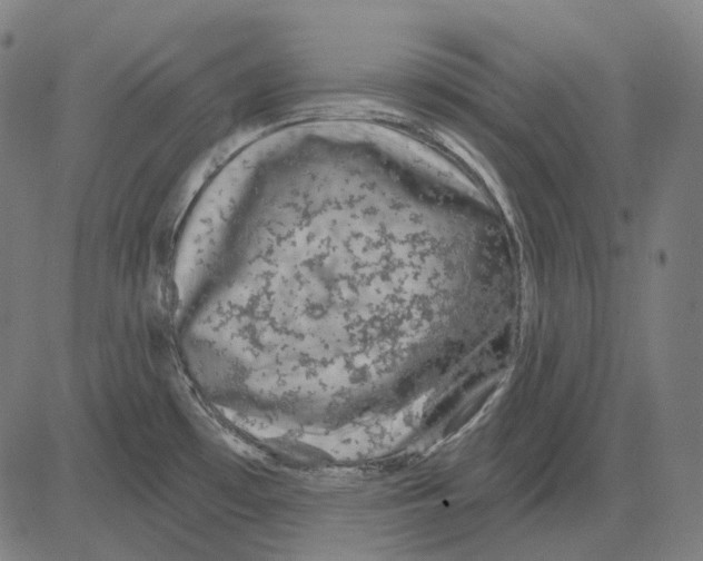 X0000081461481200702021755