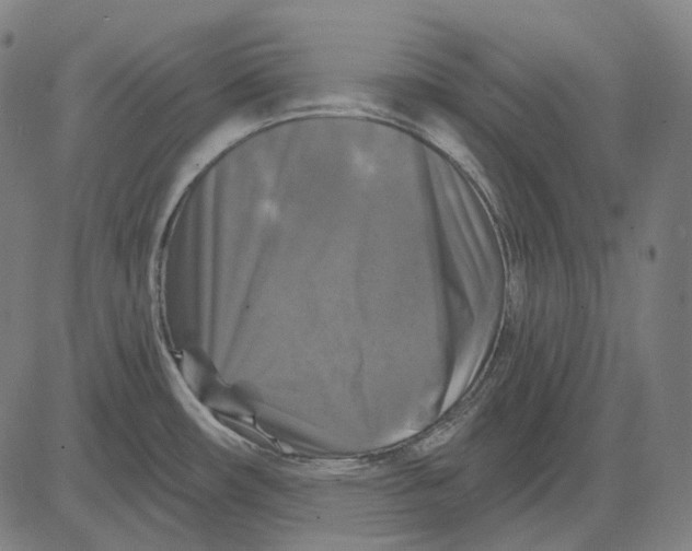 X0000081461482200702021755