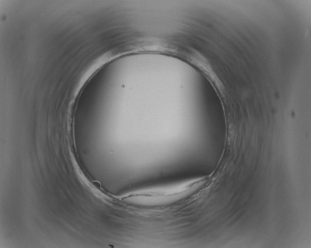 X0000081461483200702021755